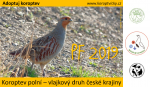 pf_2019-koroptev.png