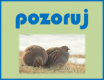 pozoruj.png