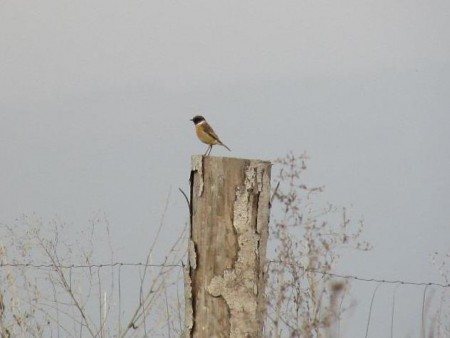 img_3176.jpg