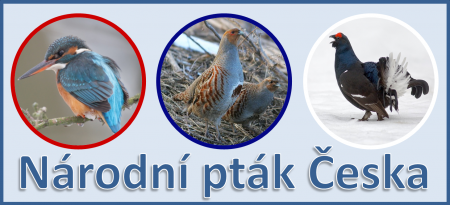 banner_narodni_ptak.png