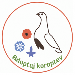 logo_adopce.png