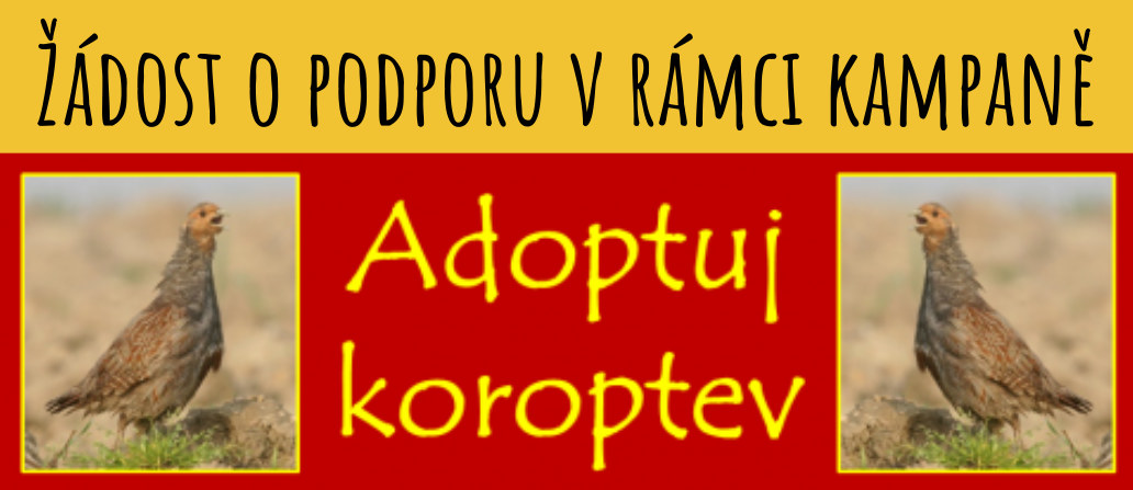 adoptuj-koroptev-zadost-banner.png
