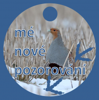 nove_pozorovani2.png