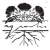 agrostis_logo.png