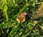 img_20241018_114853.jpg