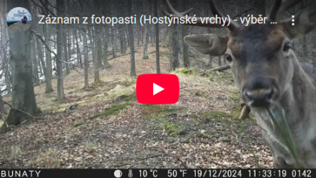 fotopast.png