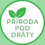 logo302.png