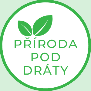 logo302.png