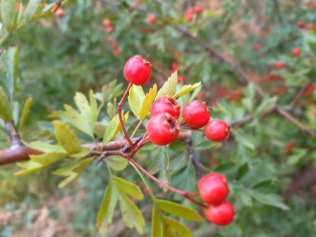 20250823_065516.jpg