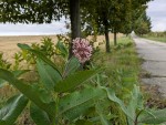 pxl_20250830_063202652.jpg