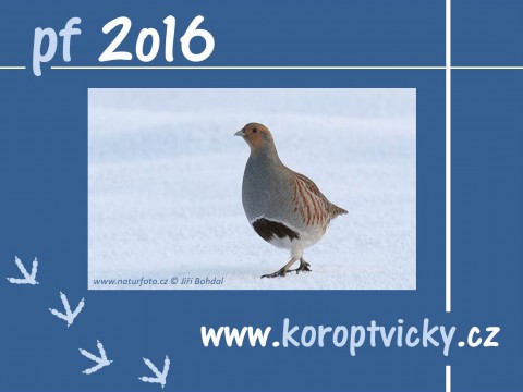 pf_2016-koroptvicky_cz.jpg