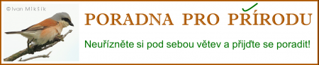 banner_poradna_velky.png