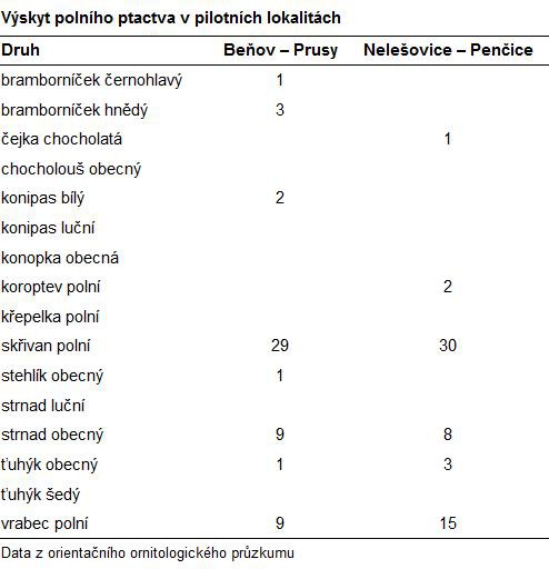 prerovsko-cilena-podpora-biodiverzity-ptaci.jpg