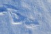 Koroptev polní (Perdix perdix) - otisk křídel po vzletu ze sněhu